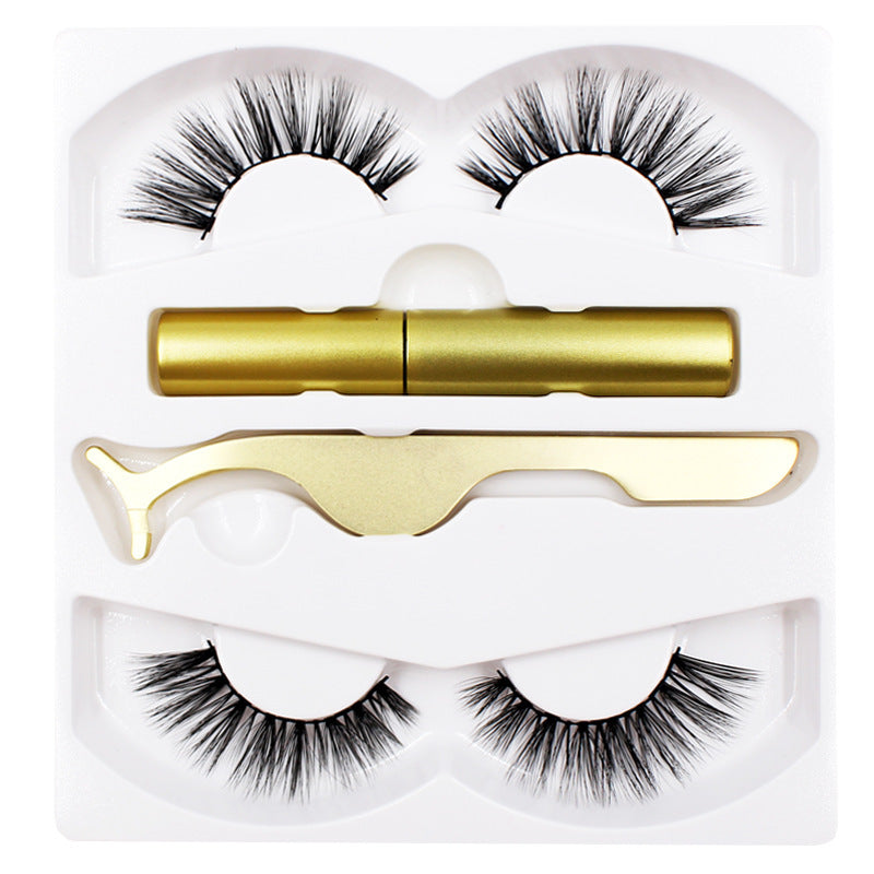 Velvière Magnetic Liquid Eyeliner & False Eyelashes with Tweezer Set