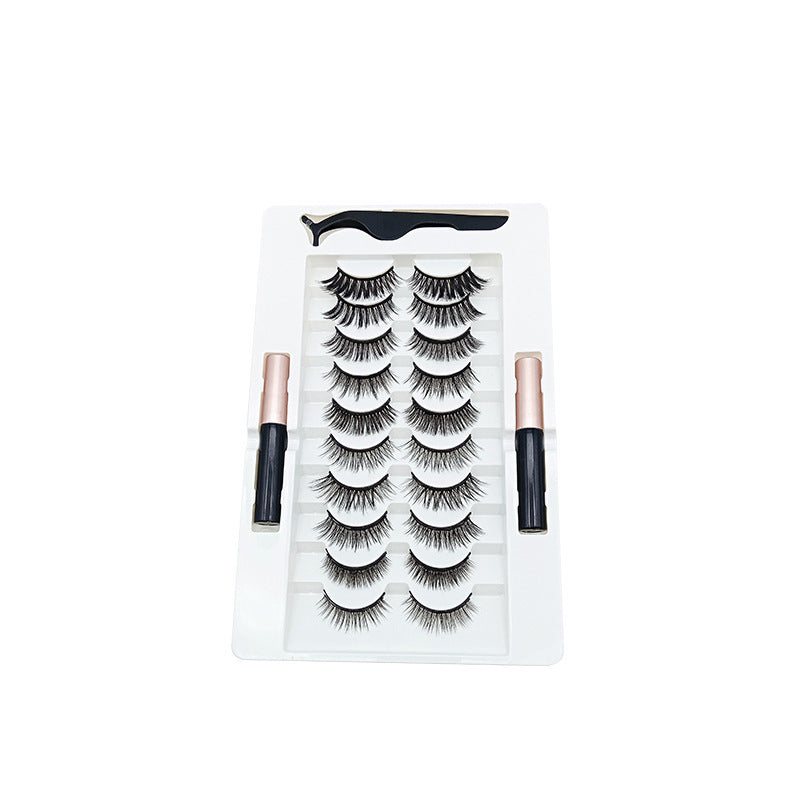 Velvière 10 Pairs Magnetic False Eyelashes Set